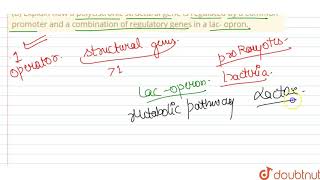 a What is an operon  b Explain how a polycistronic structural gene is regulated by a common [upl. by Latsyek]