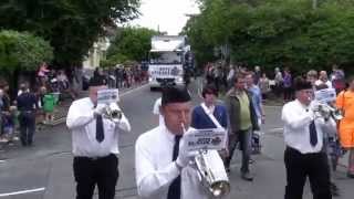 Saffron Walden Carnival Procession  2014 [upl. by Ontina]