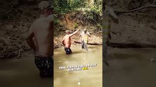 This Fish Almost Killed This Man [upl. by Neumark]