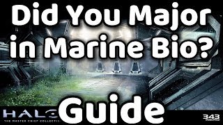 Halo MCC  Did You Major in Marine Bio  Achievement Guide [upl. by Nnairet]