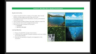 Lecture 3 Microbial Life in Aquatic Environment [upl. by Trefor]