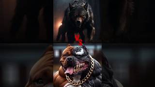 👑 pitbull vs wolf dog 😱😱😱  kon jitega  viral facts pitbull youtubeshorts dog shorts [upl. by Kary515]