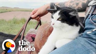 Cat Insists On Horseback Riding With Mom  The Dodo [upl. by Linskey]