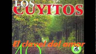 EL CLAVEL DEL AMORLOS CUYITOS [upl. by Aivax76]