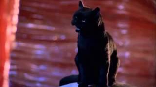 The Best Of Salem Sabrina The Teenage Witch [upl. by Donni613]