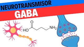 Fisiología del GABA Neurociencias 9 [upl. by Bach543]