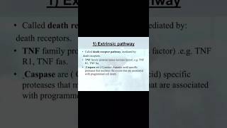 extrinsic pathway apoptosis gcuf biology pathology microbiologynotes chemistry [upl. by Lama]