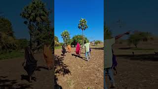 प्यार वेयो Pyaar Veyo । New Adivasi Video Song 2024 । Kaushik V amp Pradnya J । Tarun V amp Riya L [upl. by Magen]