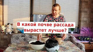 Грунт для рассады Как правильно обеззаразить землю для рассады [upl. by Osrick]