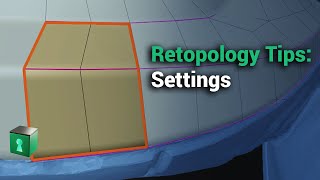 Blender Secrets  Retopo Settings [upl. by Suivat]