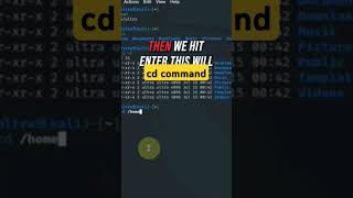Navigating Kali Linux Mastering the Cd Command [upl. by Delia]