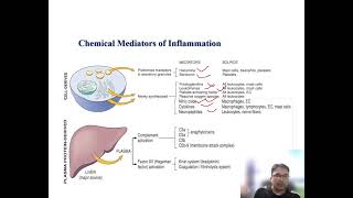 Inflammatory Mediators Vasoactive amines [upl. by Wootan]