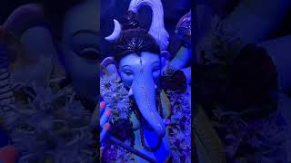 Chembur cha shivbappa 2023 ganpatibappamourya youtube youtubeshorts viralvideo shorts like [upl. by Berman]