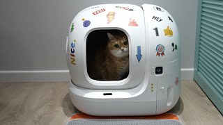 New SelfCleaning Cat Litter Box for Hosico  PETKIT PURA MAX [upl. by Staffan]