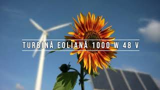 Turbina eoliana 1000 W 48 V controller MPPT [upl. by Anauqaj]