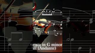 Tartini Devils Trill Sonata Graphical Notation  Andante violin classicalmusic tartini [upl. by Yesrej293]