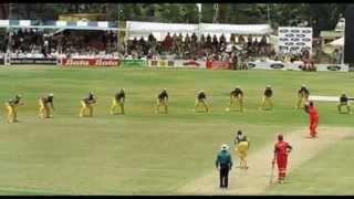 6 aggressive fielding in world cricket [upl. by Anayi157]