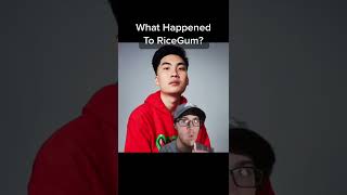 What Happened To RiceGum [upl. by Mildred]