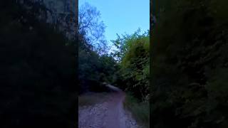 Fun trail ride right after sunset in ATX on a Specialized Sirrus X4 with 42 mm tires trailride [upl. by Narib]