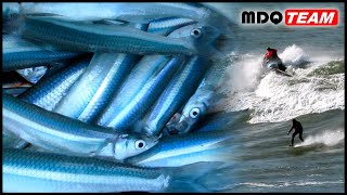 PESCA DE PEJERREYES EN OLAS MONSTRUO GIGANTES mdqteam pejerrey pesca [upl. by Meeks]