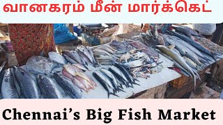 Vanagaram Fish 🐟 Market Review Tamil chennaivanagaram vanagaram fishmarket [upl. by Yonit136]