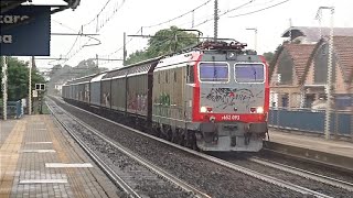 MERCI REGIONALI FRECCIAROSSA E TANTI ALTRI TRENI A SAN LAZZARO DI DAVENA [upl. by Darrel]