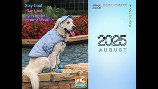 This Therapy Dogs 2025 Calendar Will Make You Smile [upl. by Annaehr352]