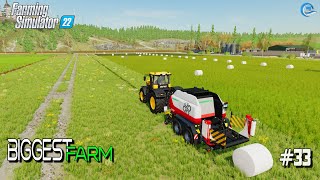 Spreading Animals Fertilizer And Making Silage B Pottinger IMPRESS 185BC PRO  Farming Simulator 22 [upl. by Enidan]