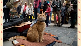 A STREET CAT NAME BOB SUBTITLE INDONESIA [upl. by Viradis]