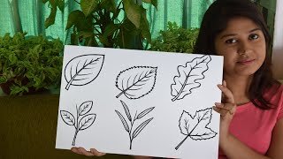 How to Draw a Leaf Step by Step Easy Drawing for Kids with Deotima [upl. by Antonina]