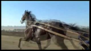 Varenne un atleta chiamato cavallo  TRAILER [upl. by Reiners9]