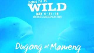 BORN TO BE WILD Dugong at Mameng A ThreePart Series [upl. by Trela796]