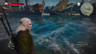 The Witcher 3 playthrough 57 Oxenfurt [upl. by Puttergill]