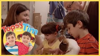 Topsy and Tim Pet Sitters Series 1 Episode 10 [upl. by Janenna707]