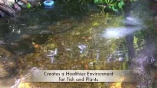 GreenClean Pond Algae Control  Tips and Applications [upl. by Brigid]