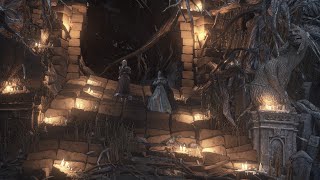 Vessel of Kaathe  Dark Souls III The Convergence Mod [upl. by Bald]