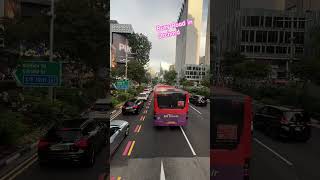 What makes Orchard Road so lively on weekends orchardroad shortsvideo [upl. by Ariet694]