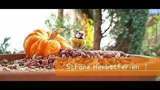 Schöne Herbstferien [upl. by Rick51]