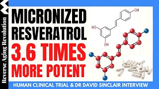 Micronized Resveratrol 36 TIMES MORE POTENT Than Regular Resveratrol  Dr David Sinclair Int Clips [upl. by Enilorak]