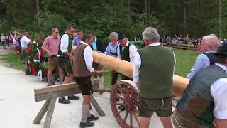 Maibaumaufstellen 2018 im Freilichtmuseum [upl. by Aitra]