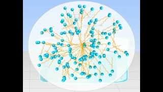 Micelle Formation Tutorials Online  Class 12 Science Meritnationcom [upl. by Aharon951]