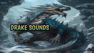 Drake Sounds  Fantasy creature [upl. by Maltzman757]