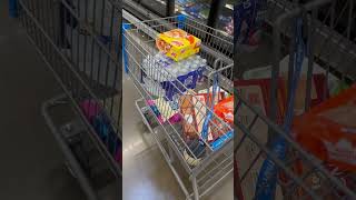 walmart walmartshopping groceryshopping fypviral walmarthaul groceries minivlog dayinmylife [upl. by Suiramed]