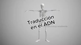 Traducción en el ADN medicinauy [upl. by Llenna925]