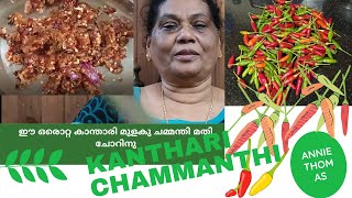 Kanthari chammanthi for Rice and Kappaഈ ഒരൊറ്റ കാന്താരി മുളകു ചമ്മന്തി മതി ചോറിനു [upl. by Arihas]