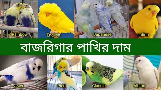 বাজরিগার পাখির দাম 2023 পাখি পালন  Budgerigar Bird price In Bangladesh and India 2023  Grow Life [upl. by Modesty545]