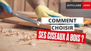 COMMENT BIEN CHOISIR SES CISEAUX À BOIS  🪵 [upl. by Finnegan]