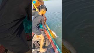 Boy Catch Fish In Rain With Bamboo Crossbow Fishing Fishing part 200 shorts fish jumping [upl. by Dyke]