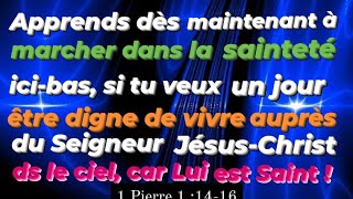 Apprends déjà à marcher ds une vie de sainteté ici sur terre si tu désires un jour être auprès d Lui [upl. by Doria]