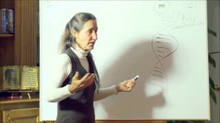 The True Cause of Disease Clip 1  Barbara ONeill [upl. by Nial]